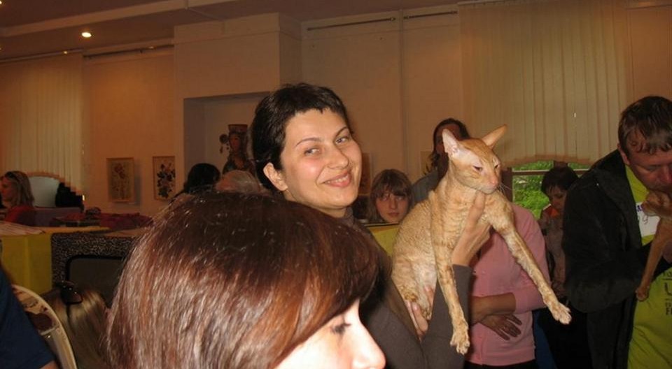 12-13.05.2012  Витебск выставка кошек (4)